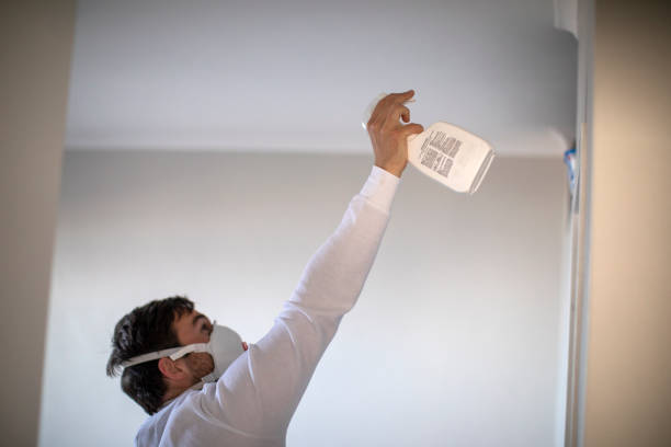 Best Mold Remediation  in Warren, MN