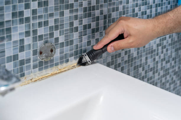 Best Commercial Mold Removal  in Warren, MN